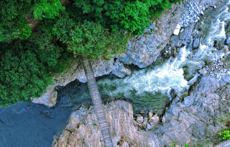 Granja Forestal Houzhenzi: acuarela ecológica de Shaanxi